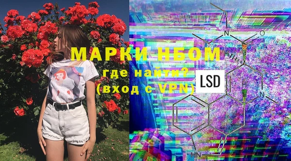ECSTASY Михайловск